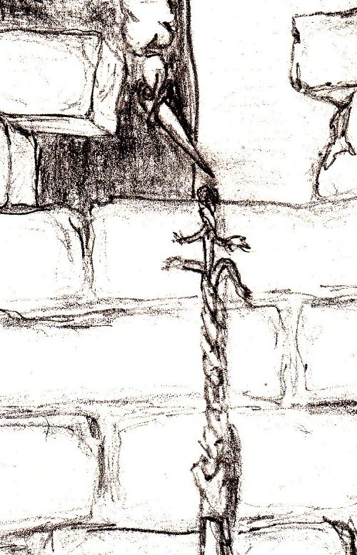 Ergyfel cuts rope